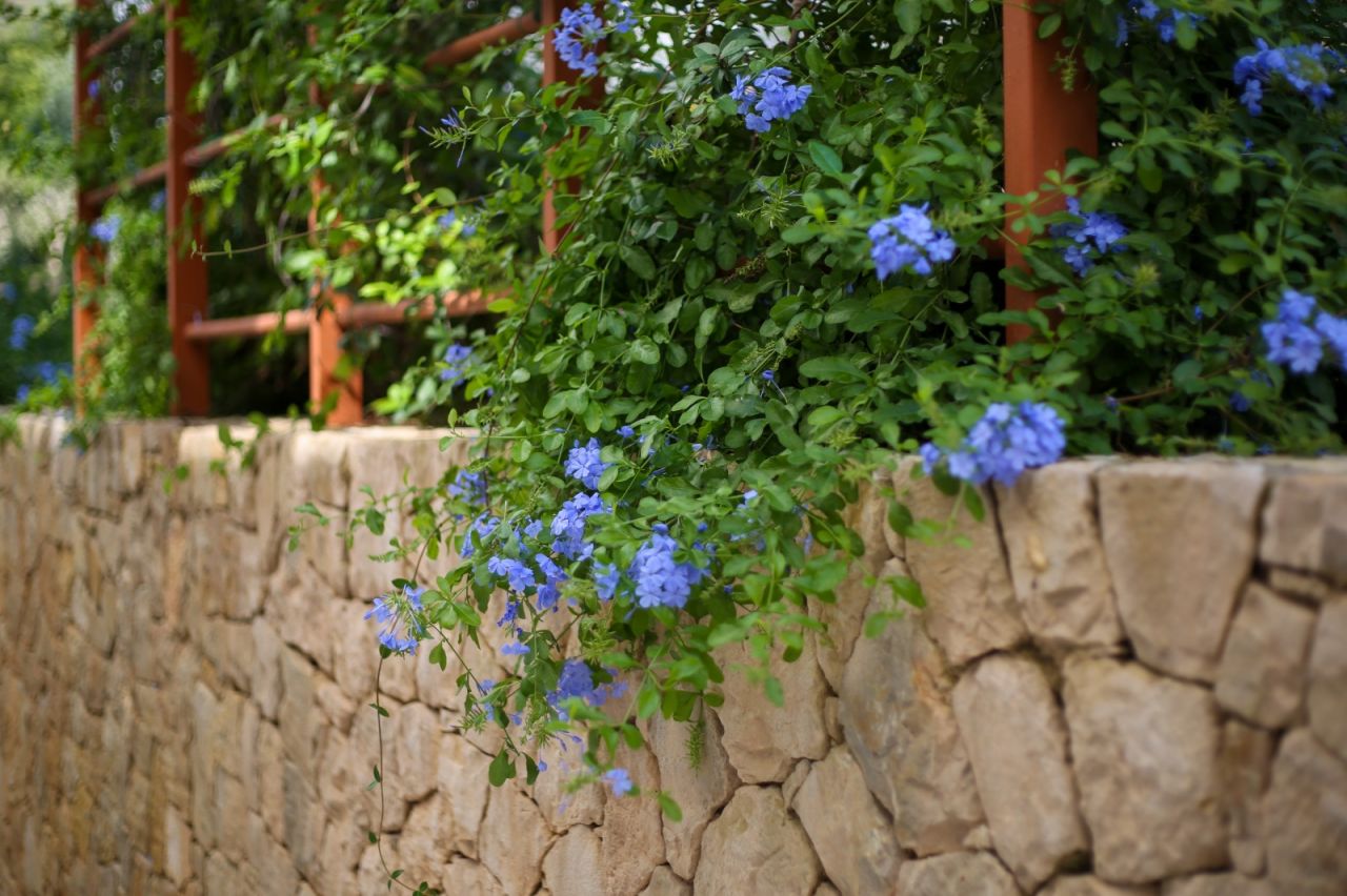 5 Rruga Aleksander Moisiu,Vlore 9405